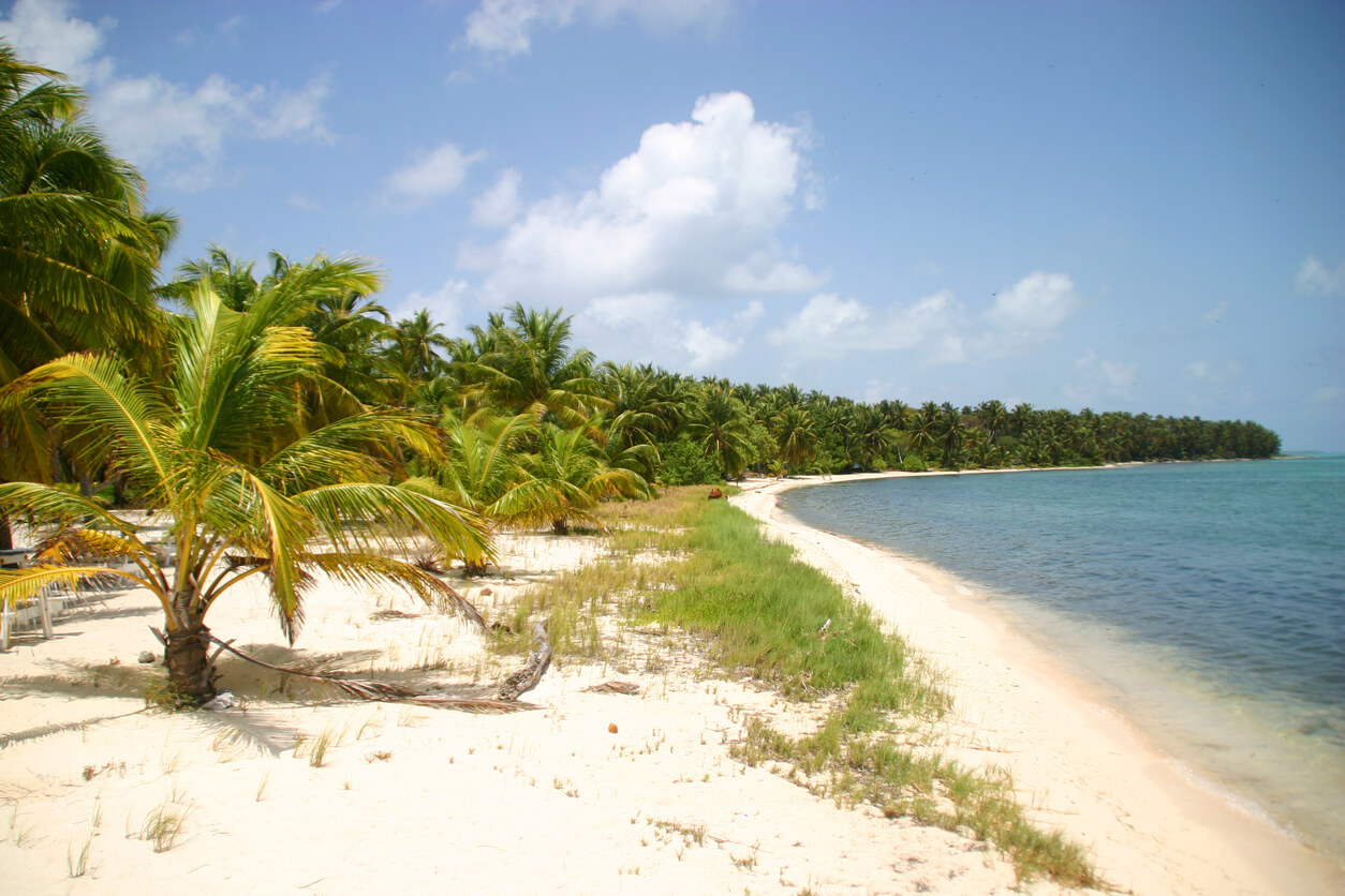 Belize: Plage de Half Moon Caye au Belize Belize: Plage de Half Moon Caye au Belize