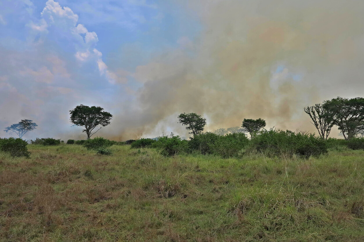 Dolisie (Loubomo) : Dolisie (Loubomo) :