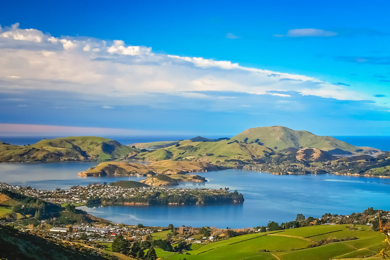 Dunedin : Dunedin :