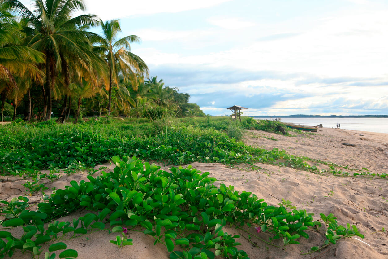 Weer In Frans Guyana In Juli 2023 - Klimaat En Temperatuur | Waar en ...