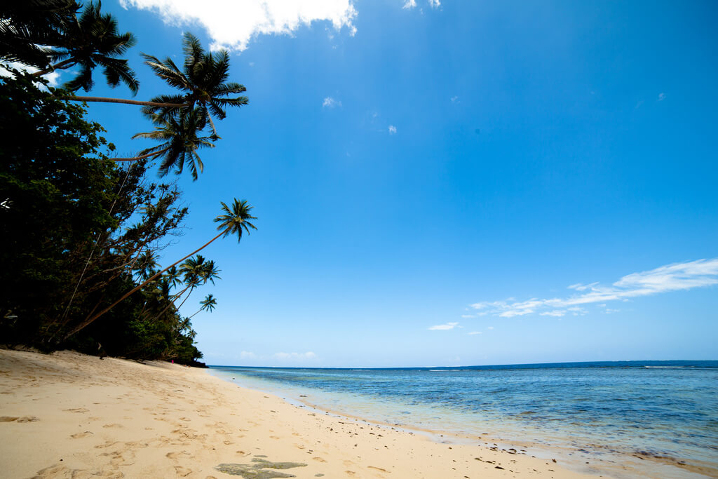 Vanua Levu Island : Vanua Levu Island :