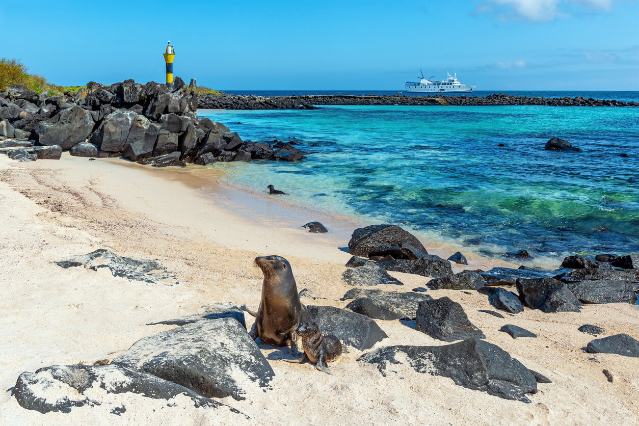 Beste Reistijd Santa Cruz Eiland Klimaat en Weer. de Beste