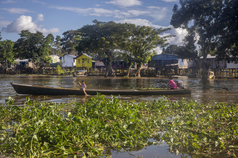 Leticia : Leticia Leticia : Leticia
