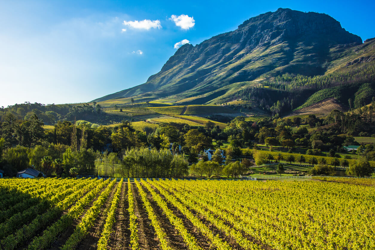 Beste Reistijd Stellenbosch Klimaat En Weer De Beste Periode Zuid Afrika Waar En Wanneer 7229