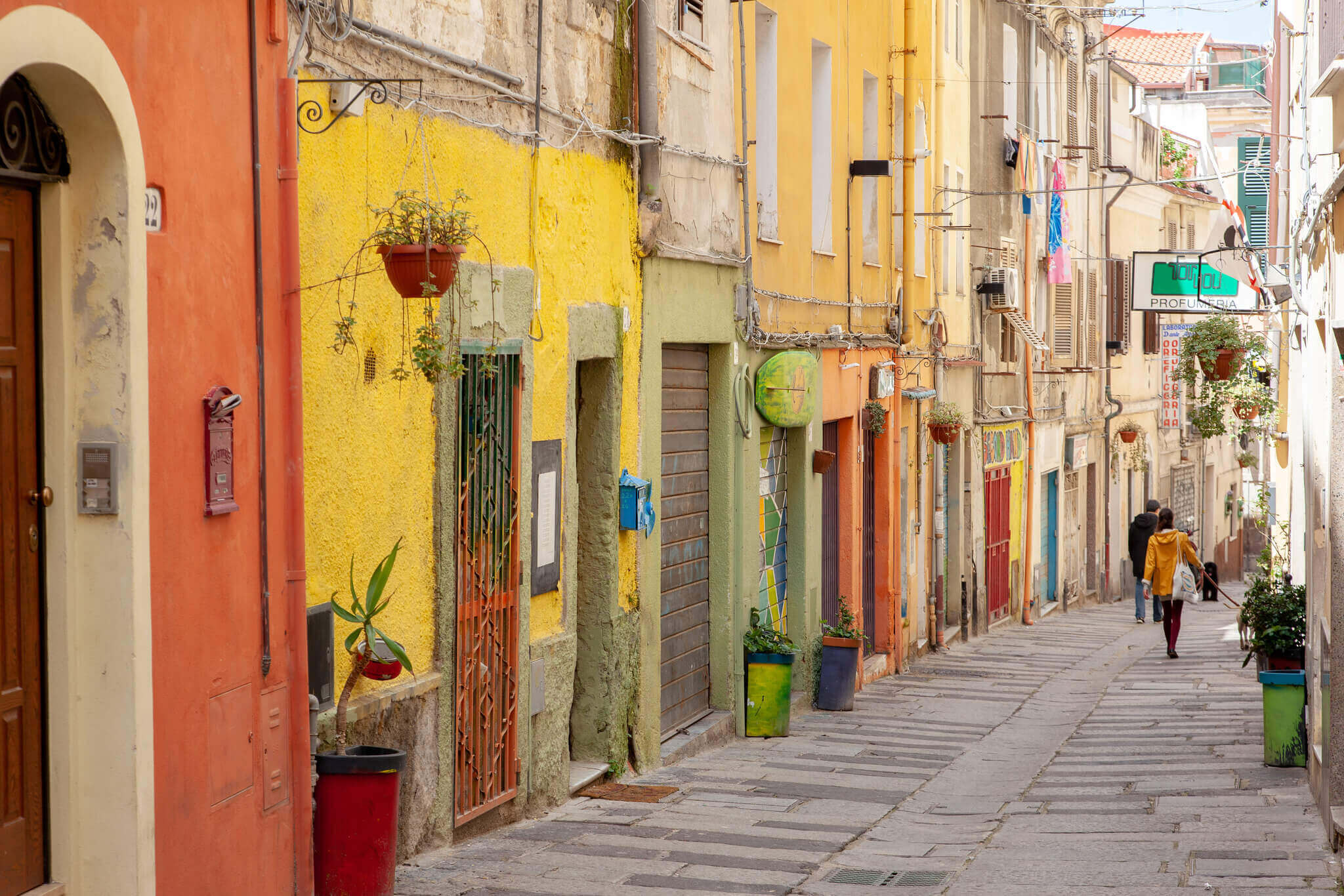 Sassari : Sassari Sassari : Sassari