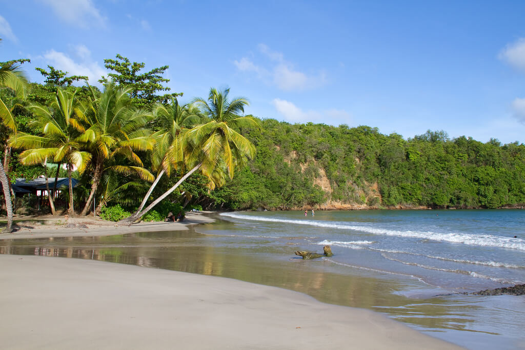 Saint David : Saint David :