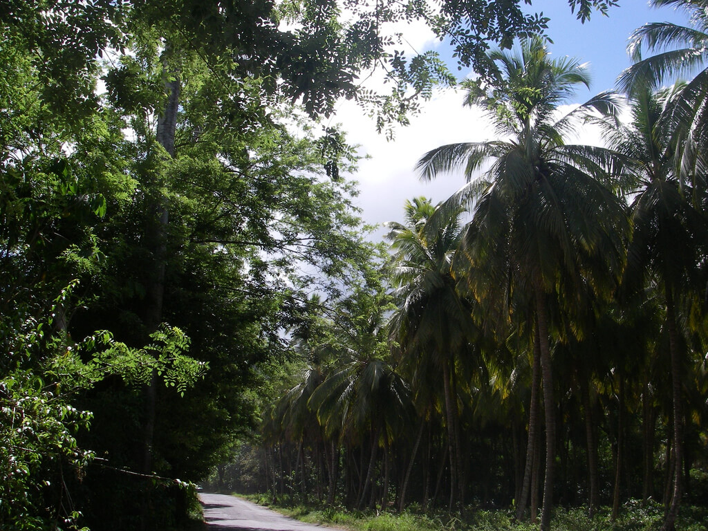 Saint-Joseph (Dominica) : Saint-Joseph (Dominica) :
