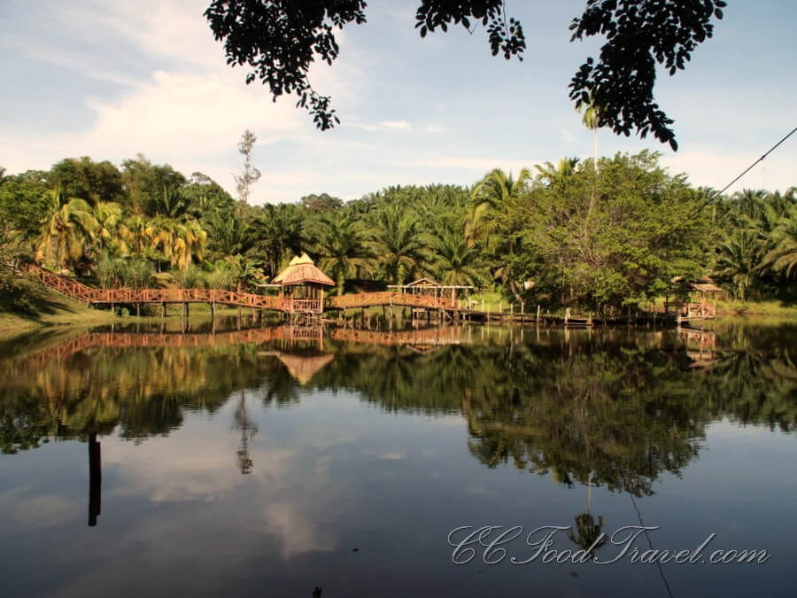 Sandakan : Sandakan :