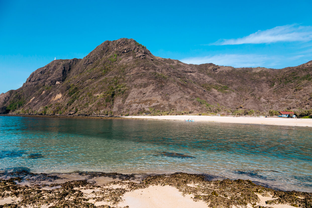 Taliwang : Taliwang :