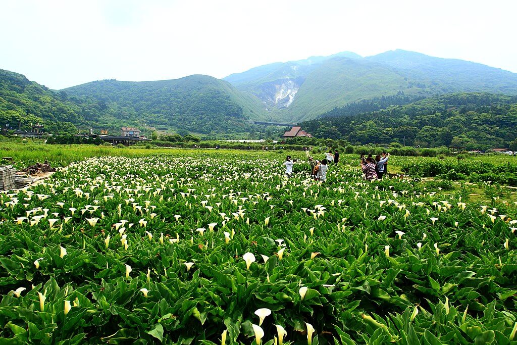 Nationaal Park Yangmingshan : Nationaal Park Yangmingshan :